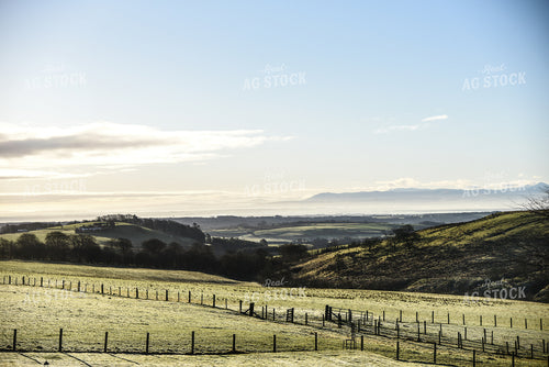 Pasture Landscape 64022