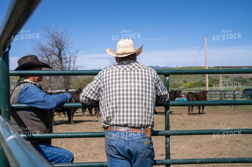 Ranchers Discussing Livestock Management on a Bright Day at the Corral 65368