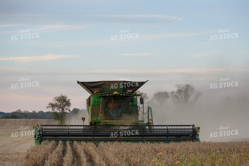 Soybean Harvest 295193
