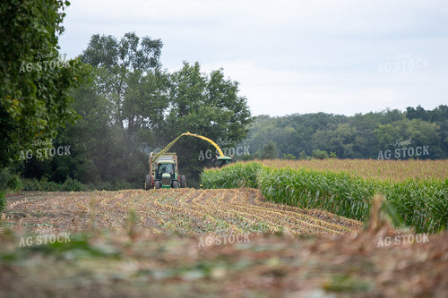 Silage Harvest 50411