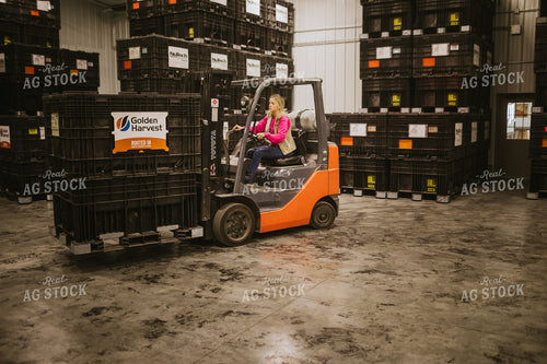 Forklift Operator in Seed Warehouse 5357