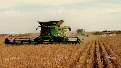 Soybean Harvest 287005