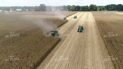 Harvesting Corn Two Combines and Grain Carts Drone 80049
