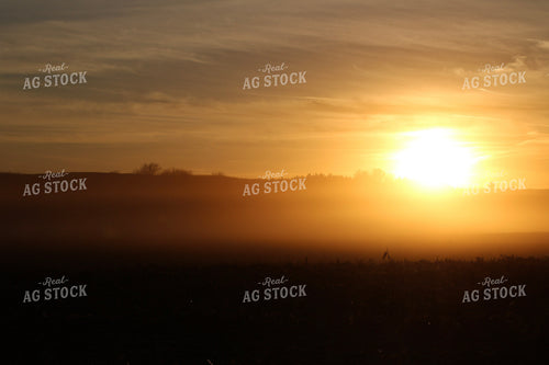 Sunset During Harvest 82323