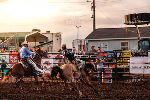 Rodeo 115786