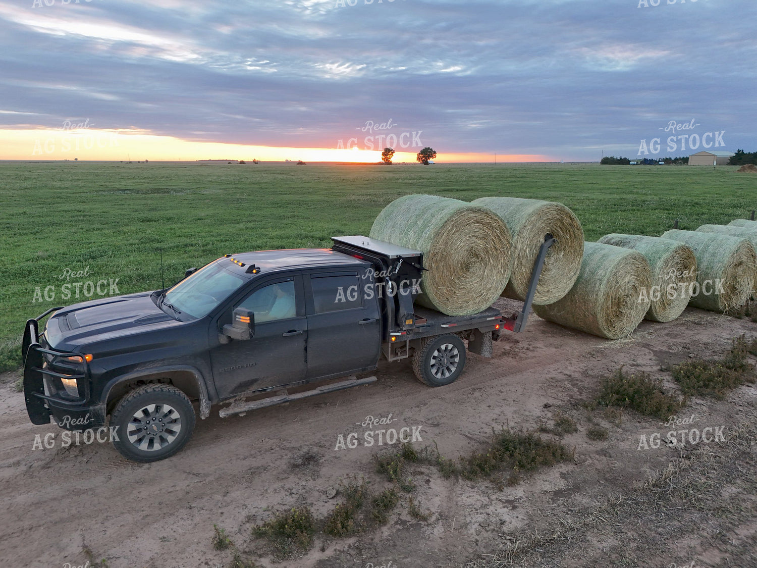 Moving Bales 239621
