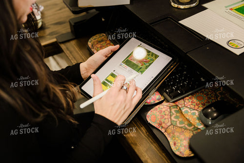 Female Appraiser Working at Computer 9423