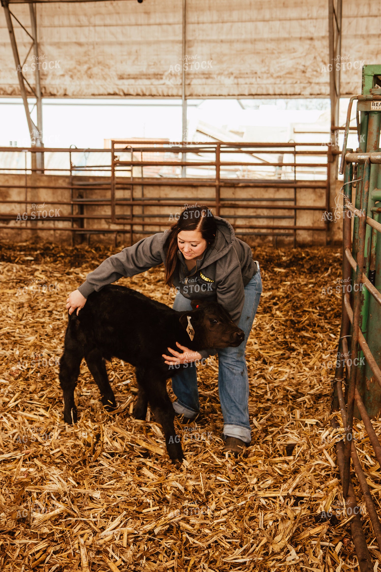 Female Farmer with Calf 67663