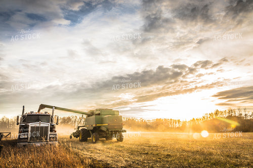Harvest 138107