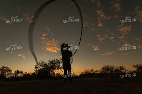 Roping 58242