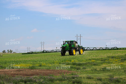 Spraying Corn Field 82518