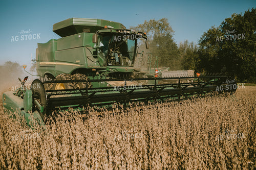 Combine Cutting Soybeans 5234