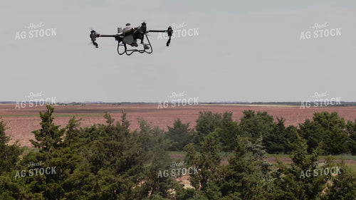 Drone Sprayer Spraying Bag Worms in Evergreens  239291