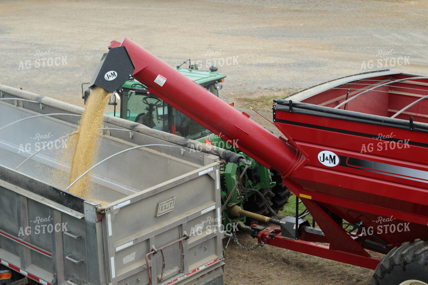 Loading Soybeans into Semi Truck 52057