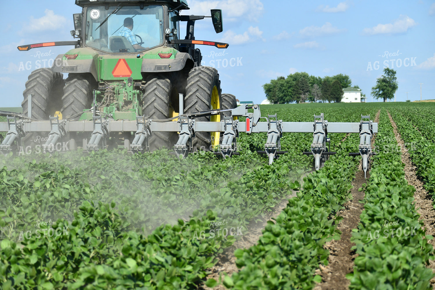 Ridge Tilling Between Rows of Soybeans 86008