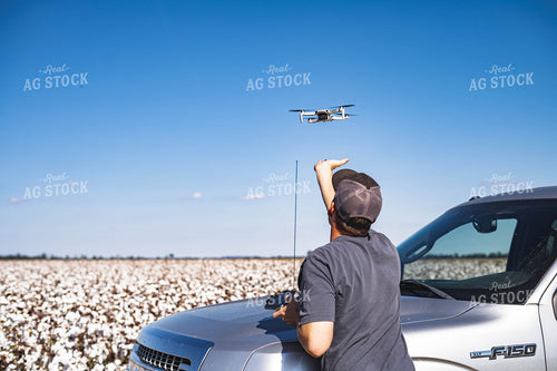 Farmer Flying Drone Over Cotton Field 91020