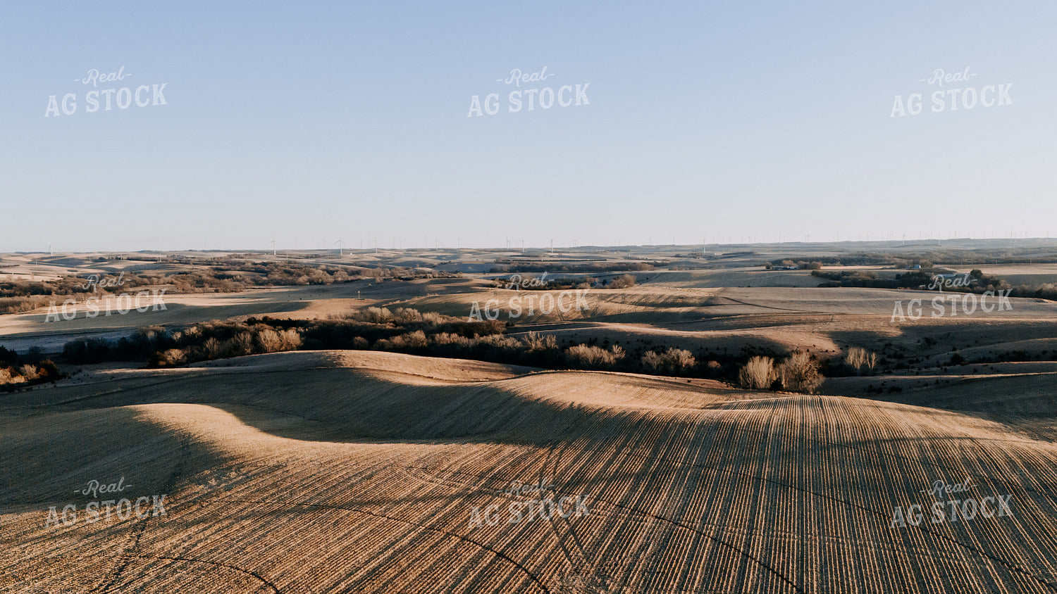 Aerial Cornfield 77304