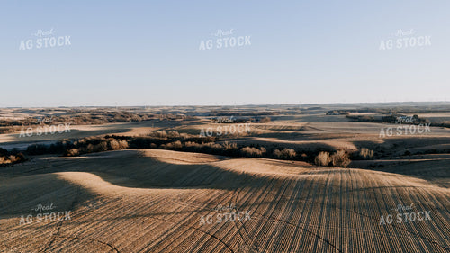 Aerial Cornfield 77304