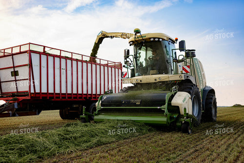 Chopping Silage 152005
