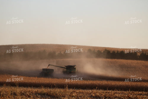 Corn Harvest 82100