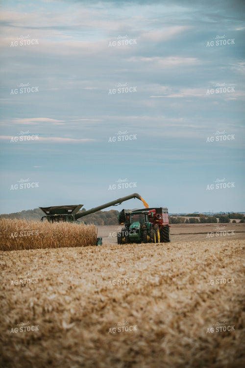 Combine Unloading Corn into Grain Cart 6933