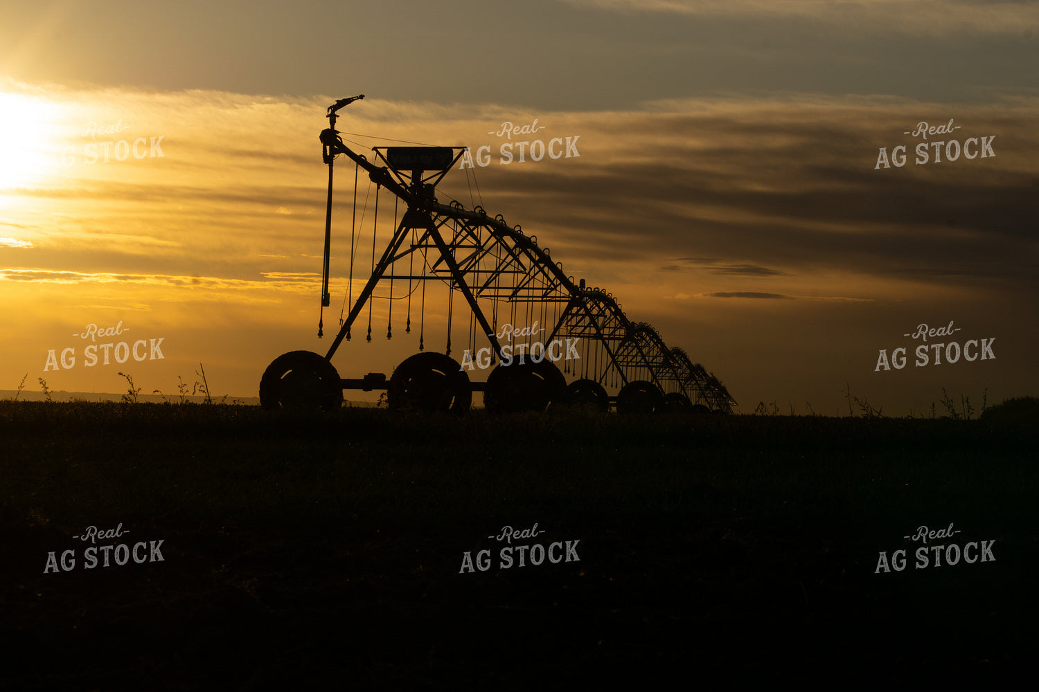 Irrigation Line at Sunset 148038