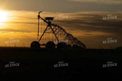 Irrigation Line at Sunset 148038