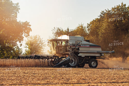 Soybean Harvest 150006
