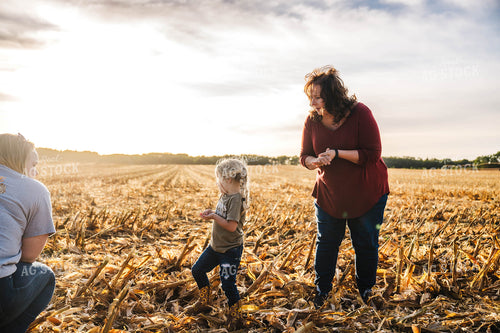 Farm Family Playing in Corn Field 115377