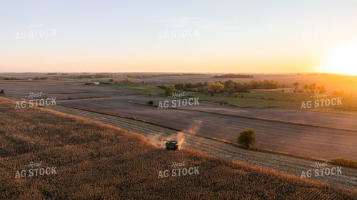 Corn Harvest 274008