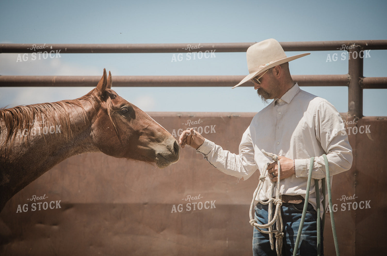 Training Colts 78234
