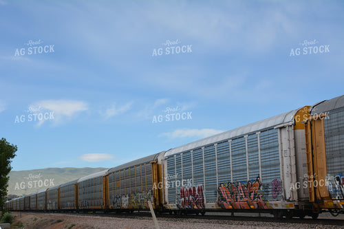 Train 198013