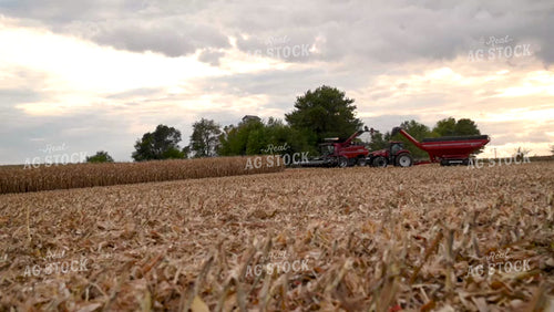Combine Unloading Corn on the go into an Auger Wagon - 486