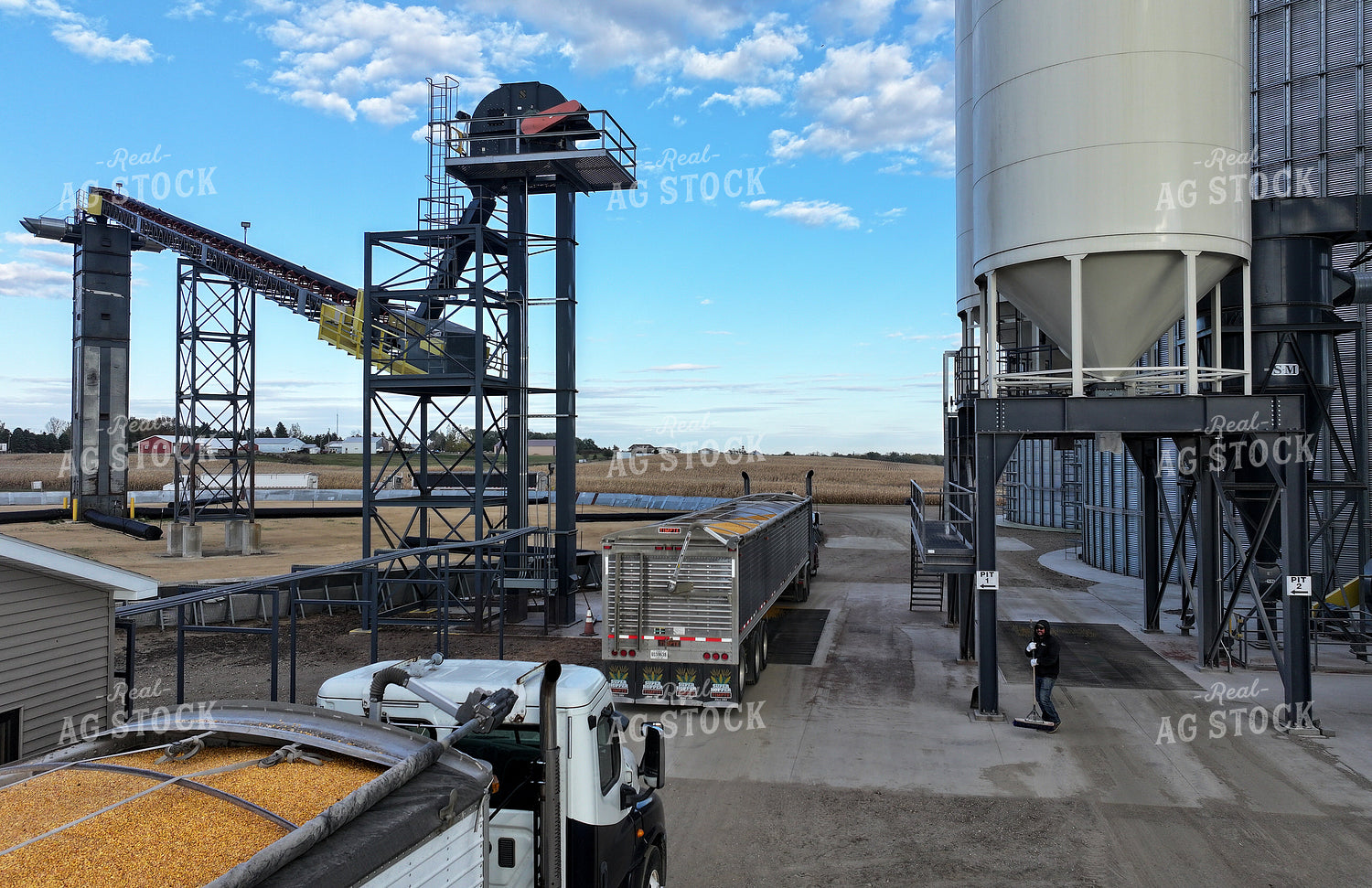 Grain Elevator 141487