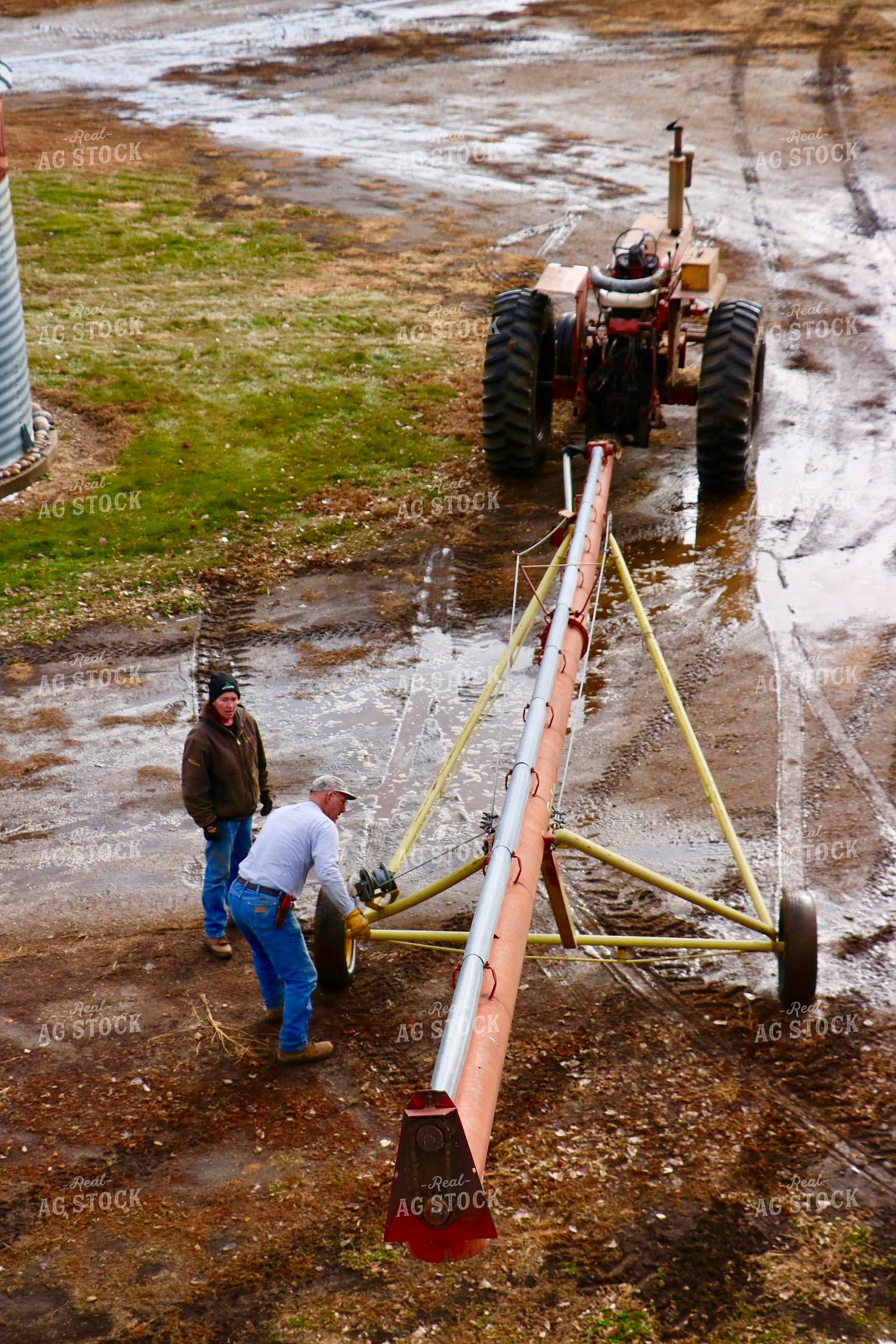Farmers Setting Up Grain Auger 299284