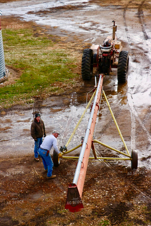 Farmers Setting Up Grain Auger 299284