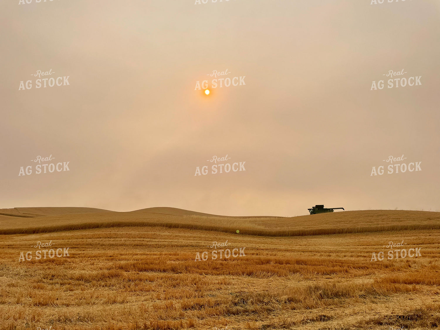 Harvest Sunset 282002
