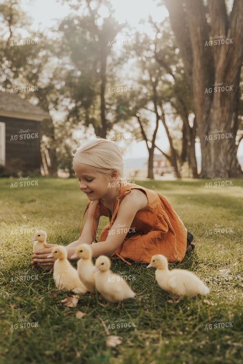 Farm Kid with Ducklings 61242