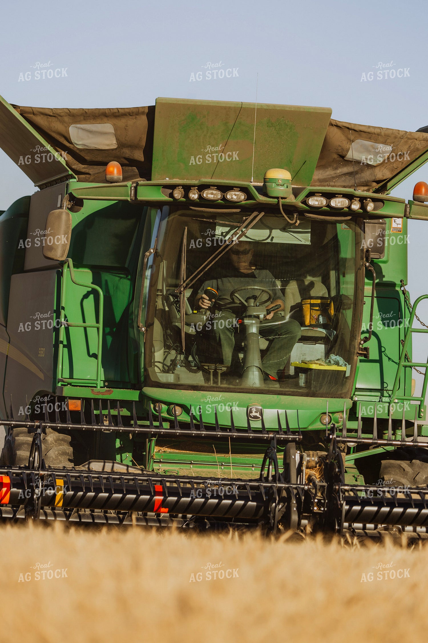 Wheat Harvest 187311