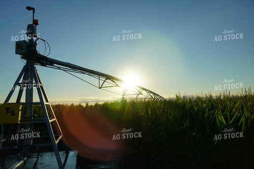 Sunrise Over Irrigation Pivot Corn 65004