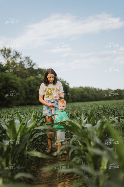 Farm Family Checking Corn 8735