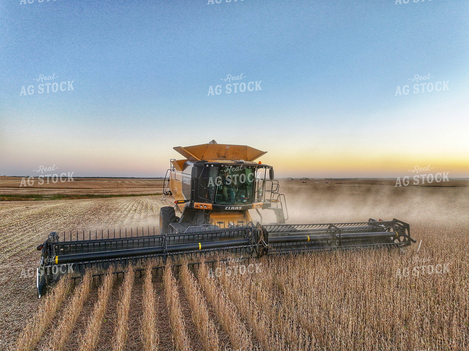 Wheat Harvest 141176