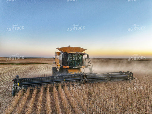 Wheat Harvest 141176