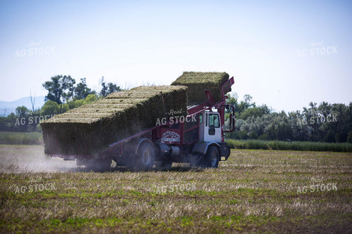 Picking Up Bales 81153
