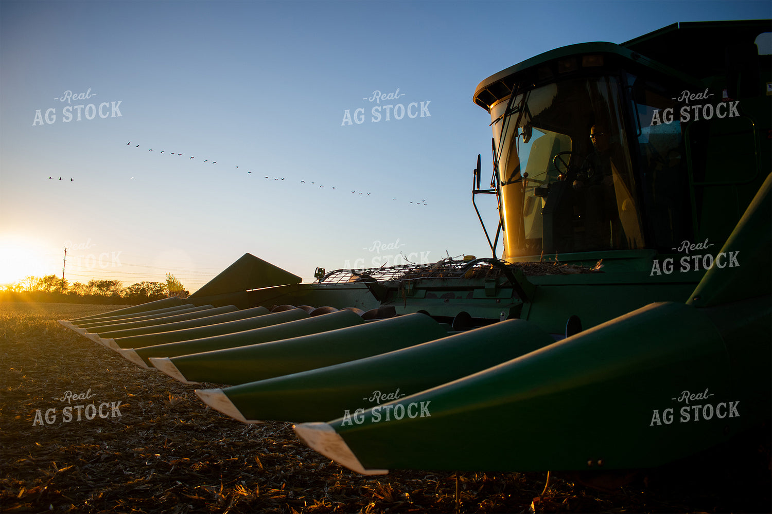 Combine at Sunset 50010