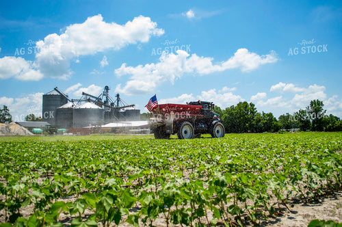 Spreading Dry Fertilizer in Cotton Field 136196
