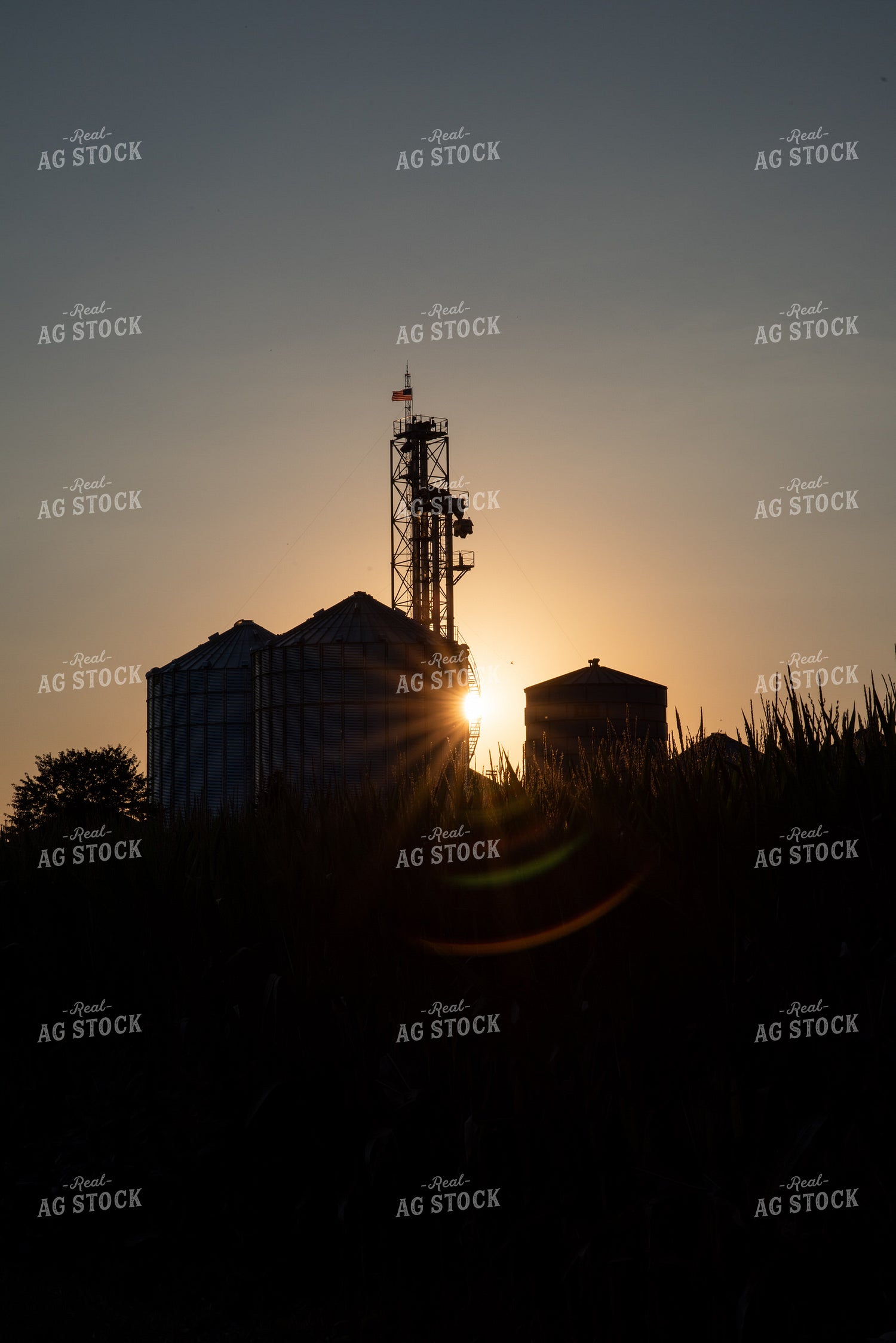 Grain Elevator in Sunset 76330