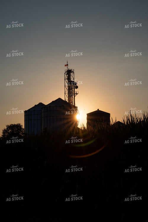 Grain Elevator in Sunset 76330