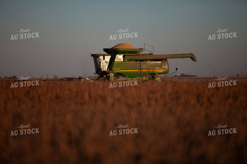 Harvest 1771