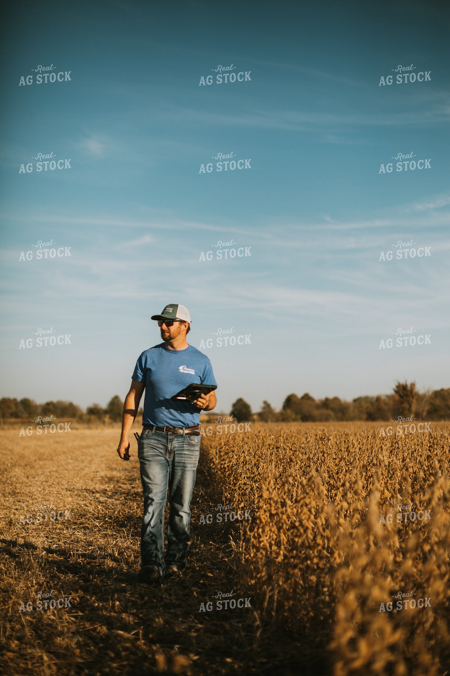 Farmer in Field with Tablet 7182
